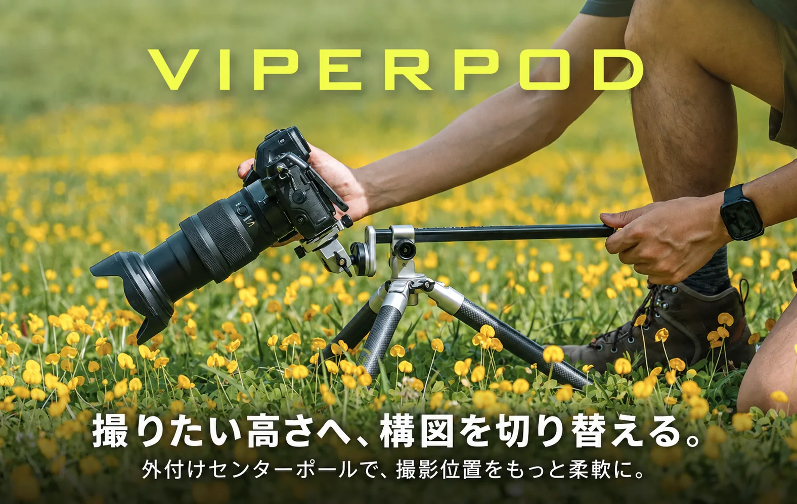 黄色い花畑でセンターポールを使って構図を調整する撮影シーン